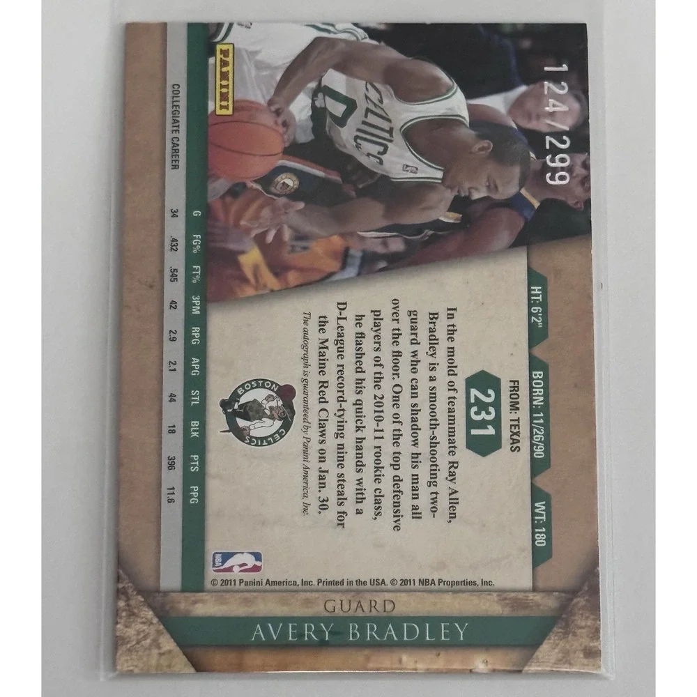Panini 2010 11